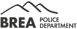 Police home page
