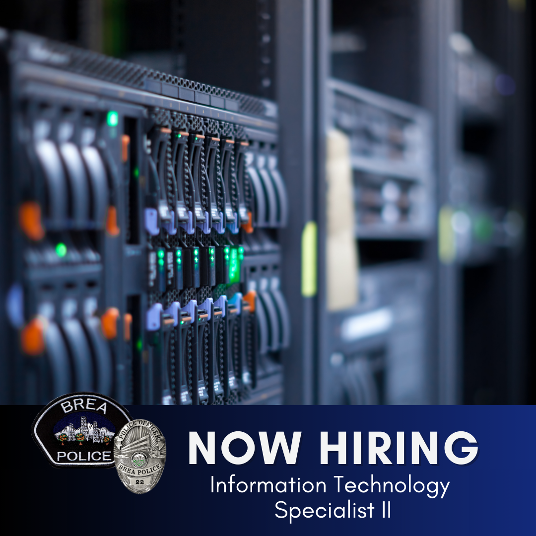 Now Hiring IT Specialist II