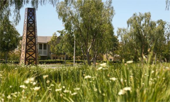 Grass and trees in front of a building