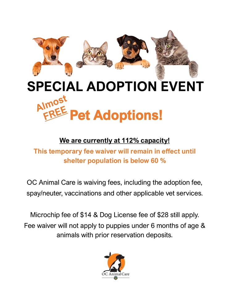 OC Animal Care Special Adoption Event