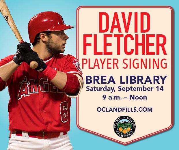 BigAGraphic_DavidFletcher