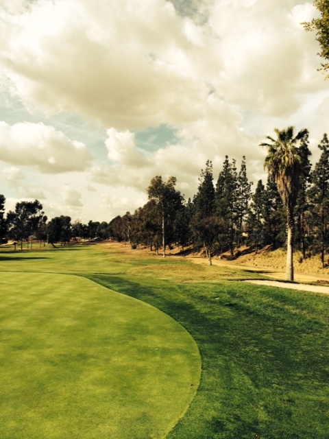 Photo of Birch Hills Golf Course rehabilitation project; hole 6 green looking west toward the tee